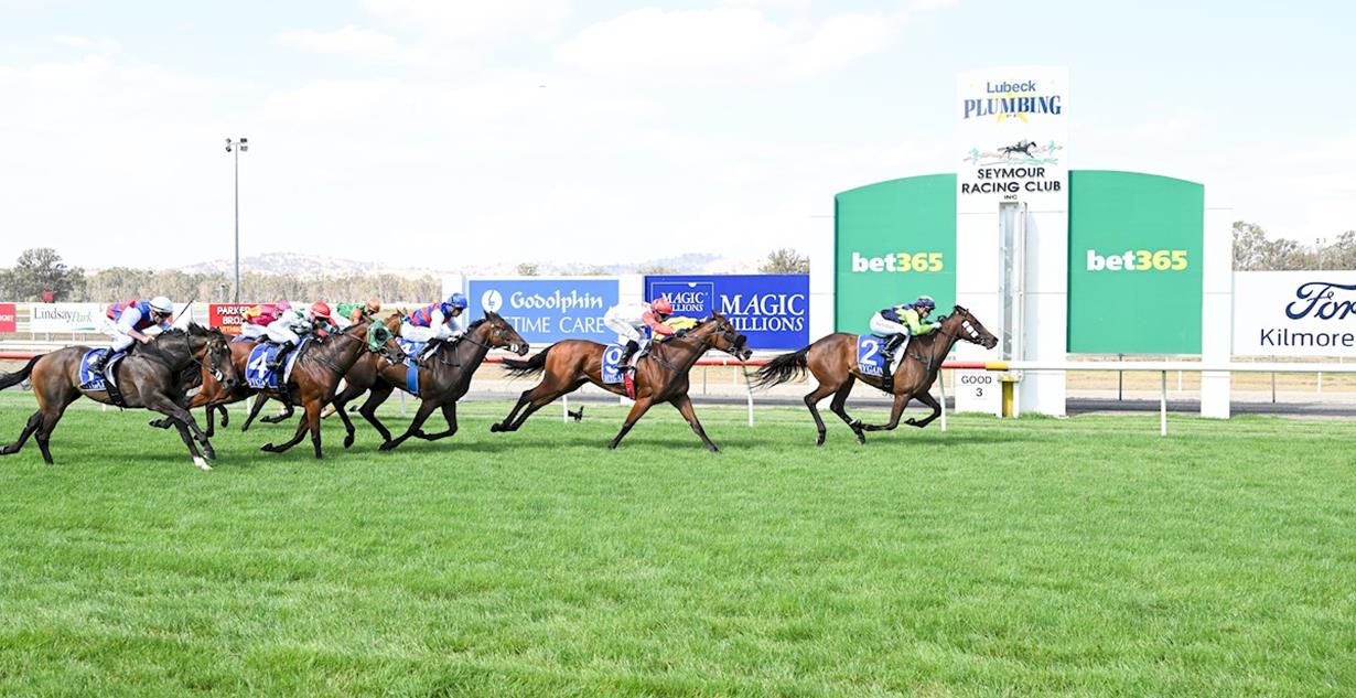 Hot Chips - Seymour 15th January 2026